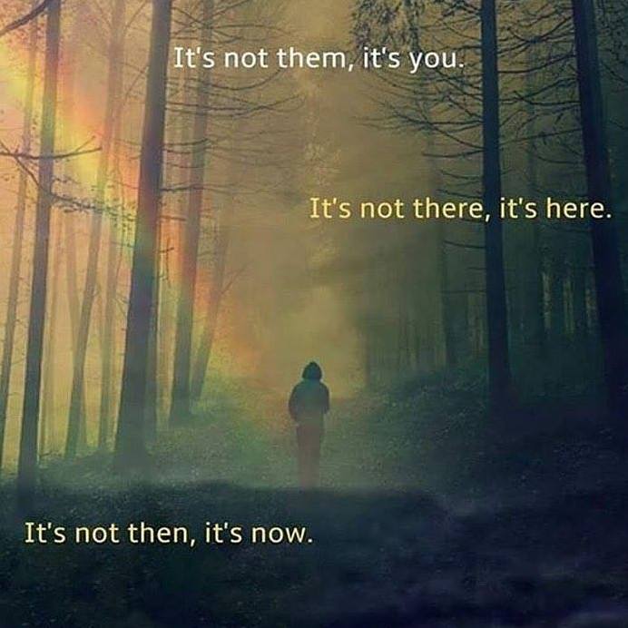 Your Soul Insights